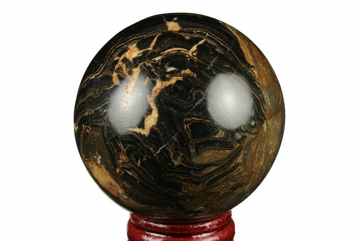 Polished Stromatolite (Greysonia) Sphere - Bolivia #191105